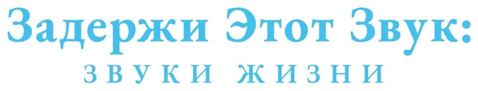 Задержи этот звук: Звуки жизни (2019)