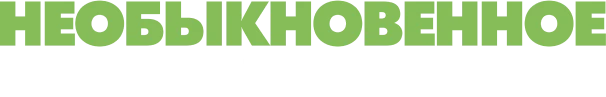 Необыкновенное Рождество Зои (2021)