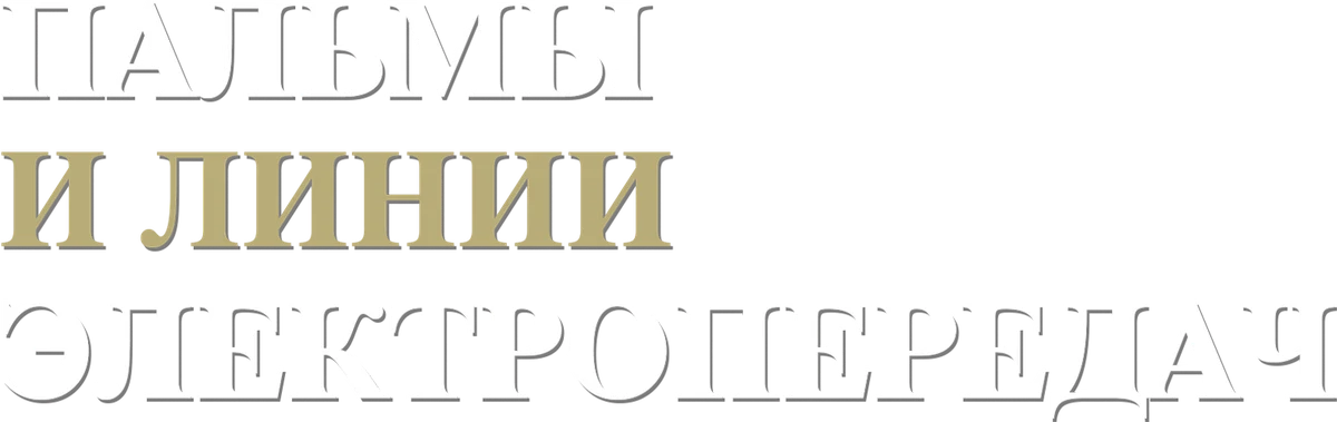 Пальмы и линии электропередач (2022)