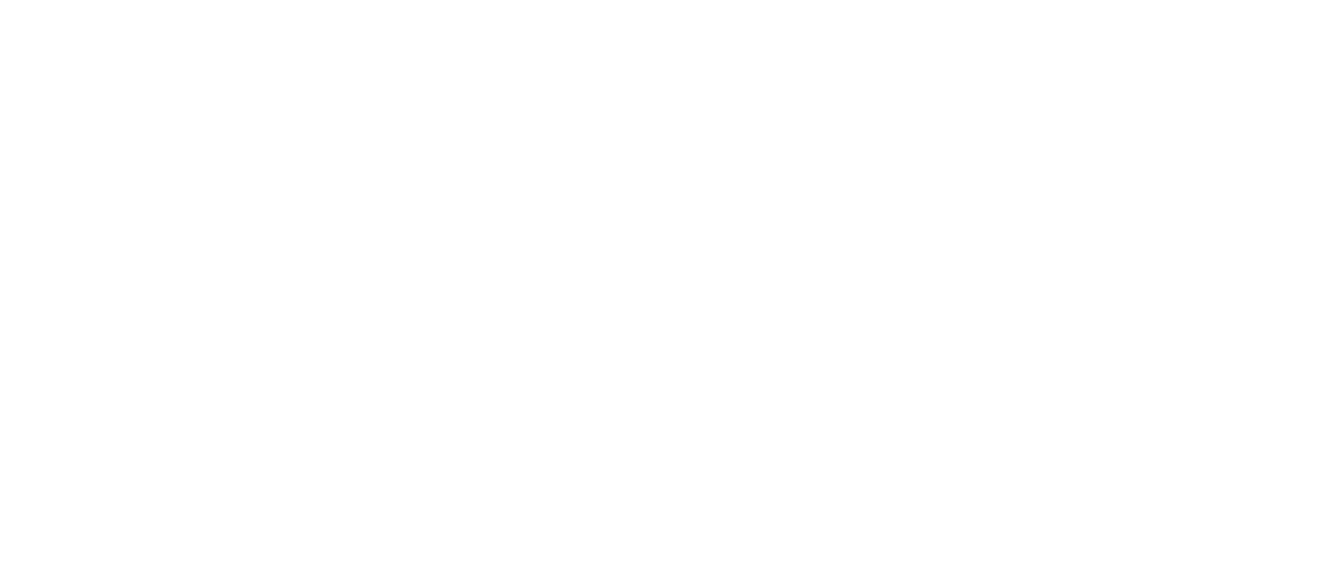 Брайан и Чарльз (2022)