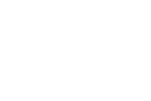 Селена (2020)