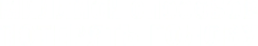 Миллион способов потерять голову (2014)
