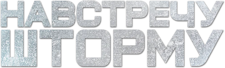 Навстречу шторму (2014)
