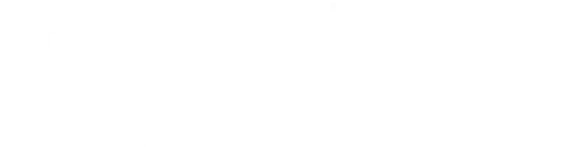 Гость (2014)