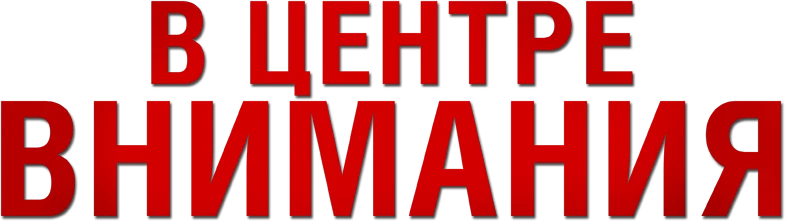 В центре внимания (2015)