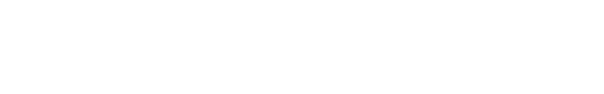 Защитник (2015)