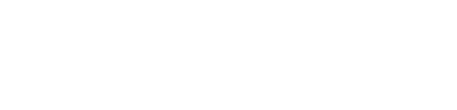 По соображениям совести (2016)