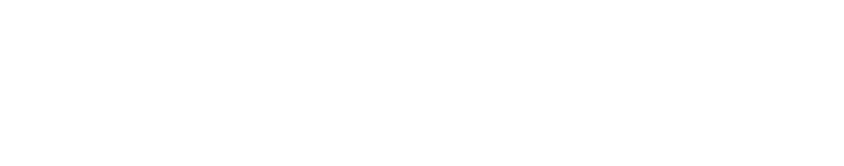 Защитник (2016)