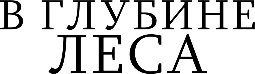 В глубине леса (2015)