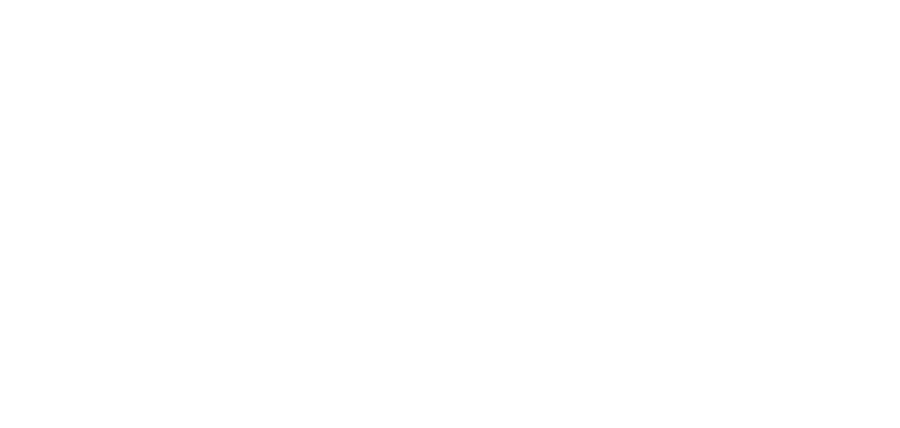 Во всём виноват енот (2016)