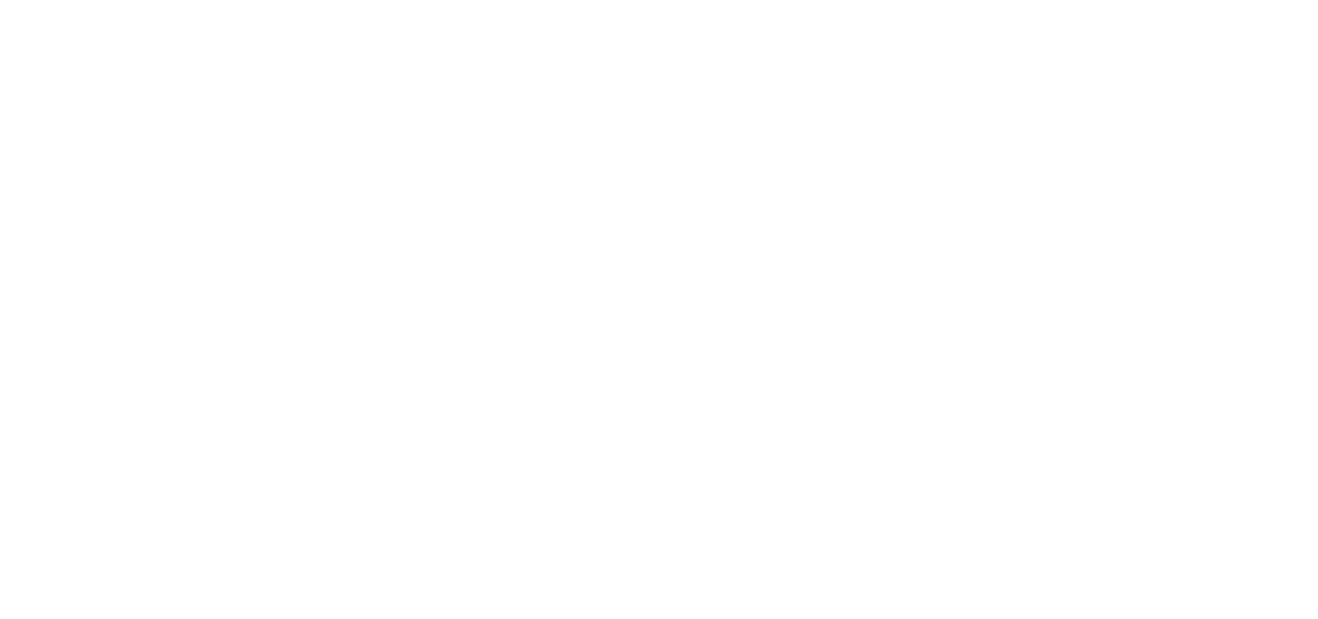 Горе-творец (2017)
