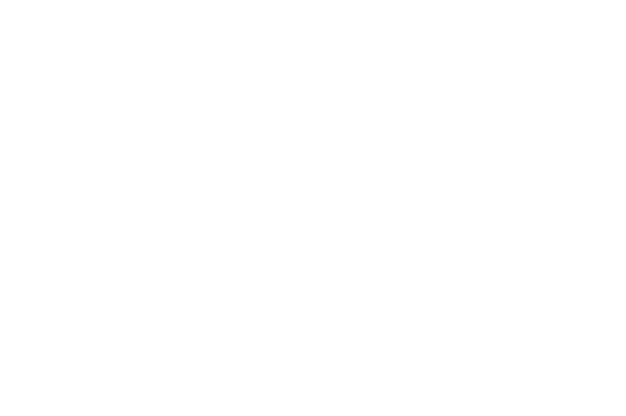 Мэри и ведьмин цветок (2017)