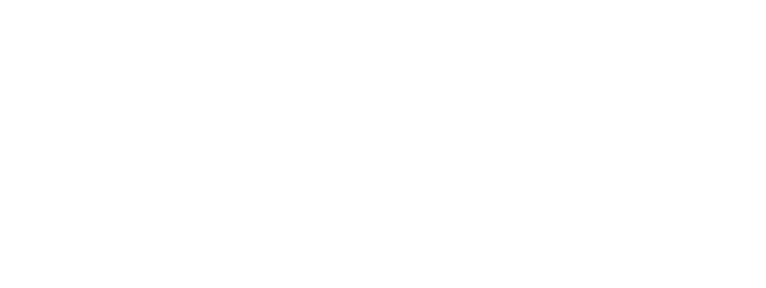 Ночные игры (2018)
