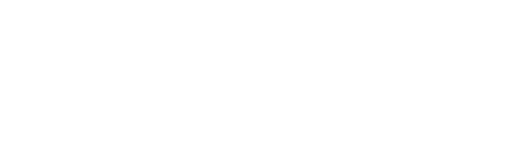 Секретное досье (2017)