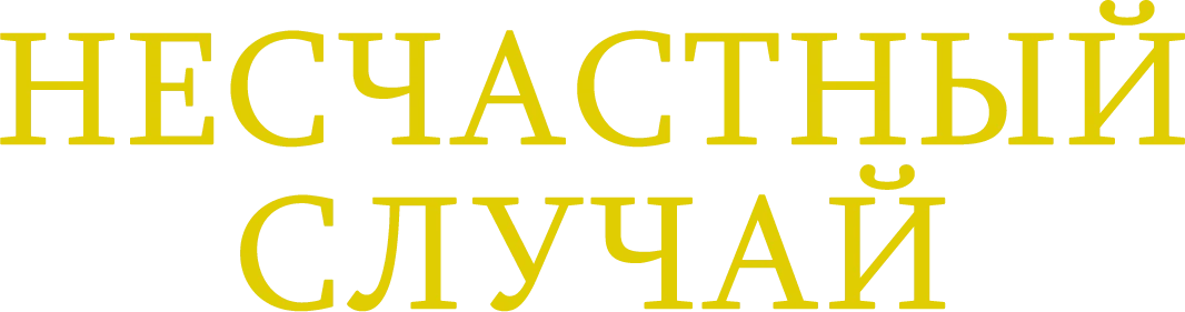 Несчастный случай (2018)