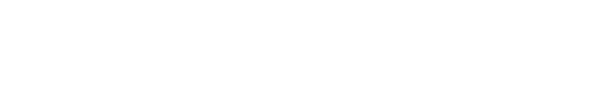 Охранник (2017)