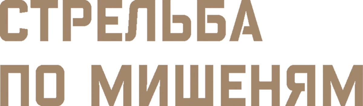 Стрельба по мишеням (2017)