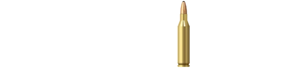 Калибр (2018)