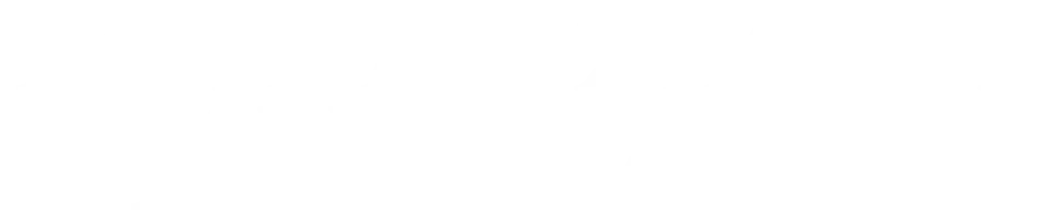 Тайная жизнь пингвинов (2018)