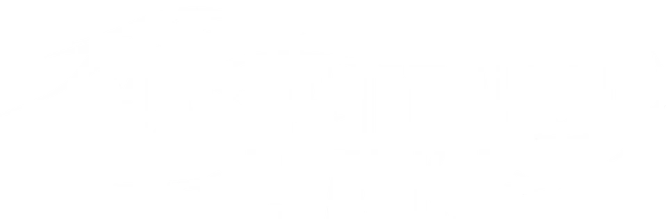 Маг на полную ставку (2016)