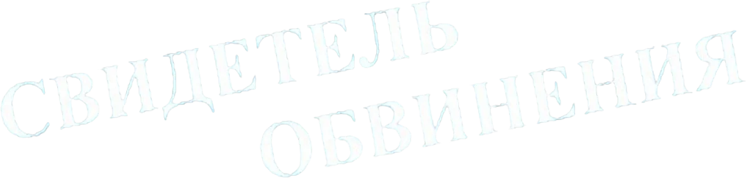 Свидетель обвинения (2016)