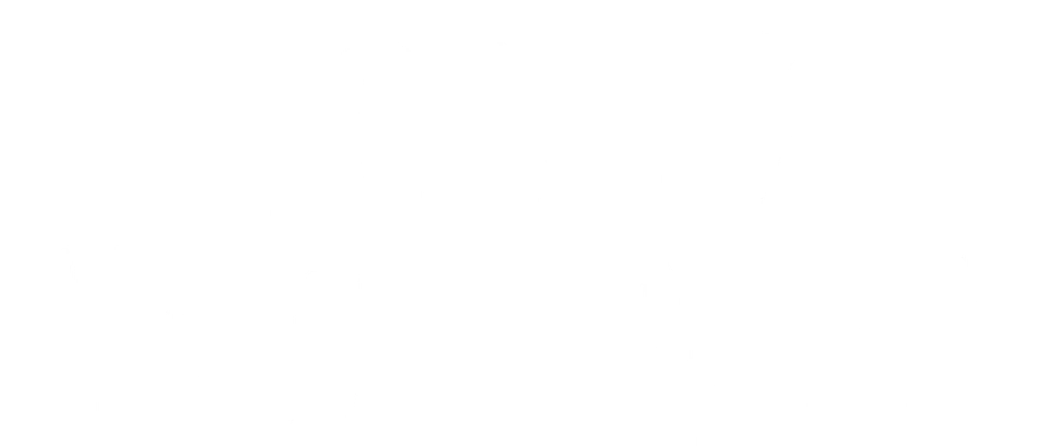 Новый Амстердам (2018)