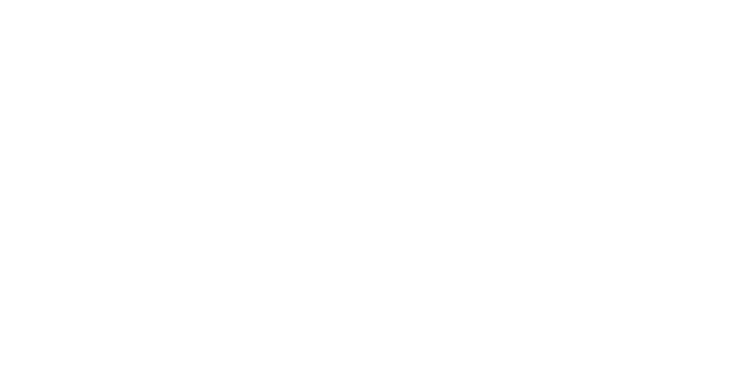 Штурм Белого дома (2013)