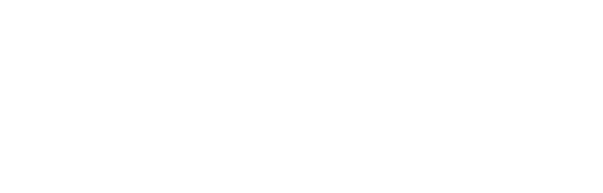 365 Новый год (2012)