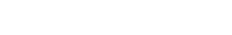 Двойник (2013)