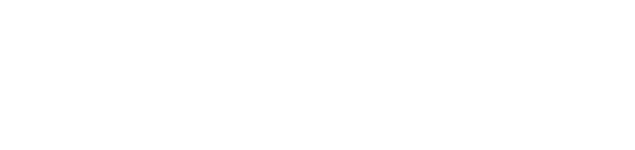 Уцелевший (2013)