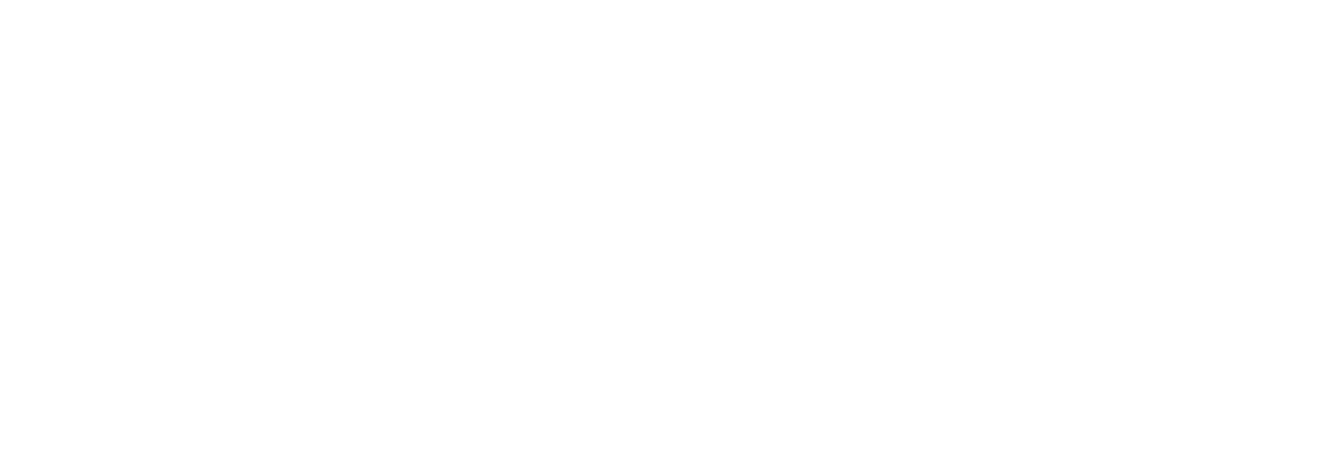 Билет в один конец на Луну (2013)