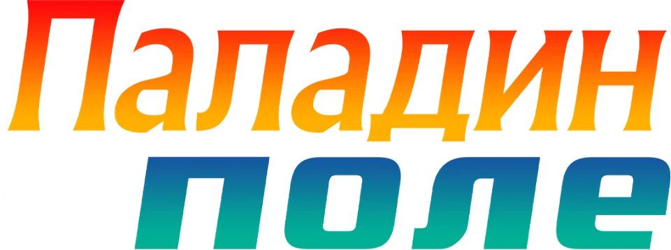 Паладин на поле (2012)