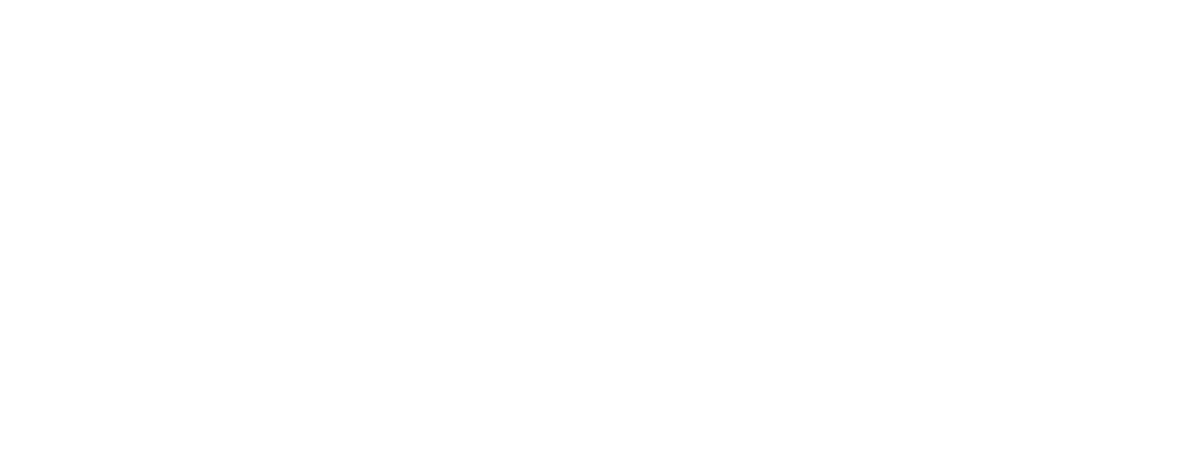 Дневник будущего (2011)