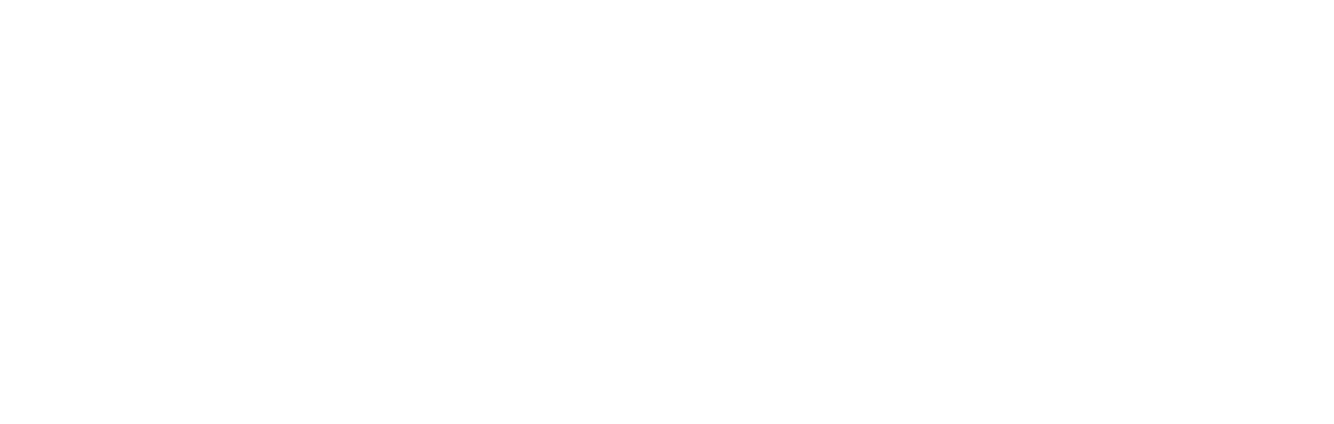 Эволюция Борна (2012)