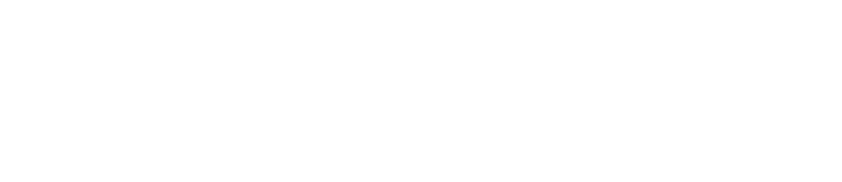 Шаолинь (2011)