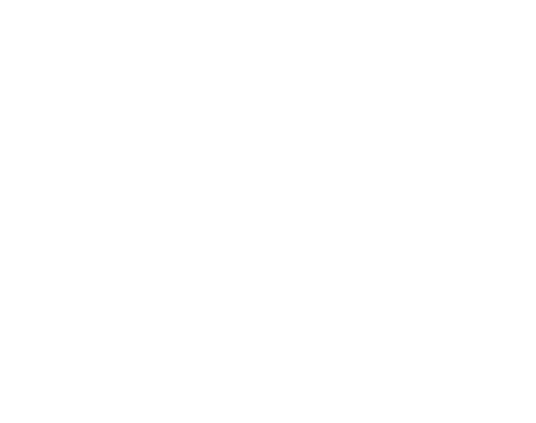Мой придурочный брат (2011)