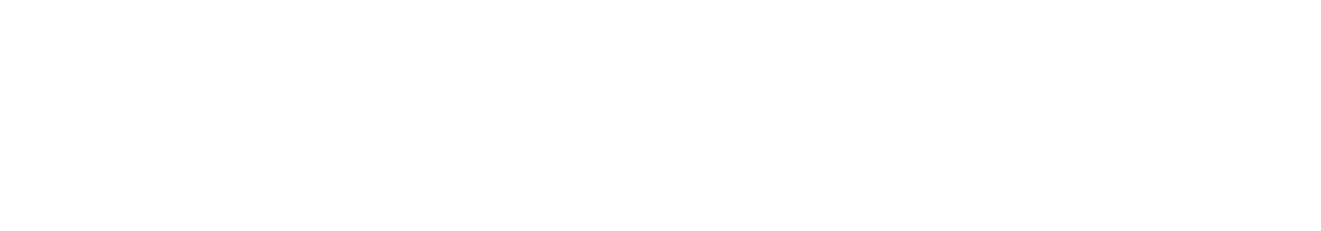 Контрабанда (2012)