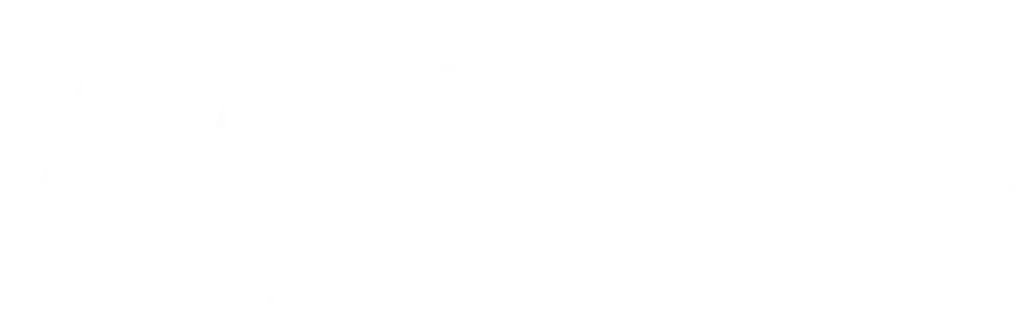 Ловцы забытых голосов (2011)