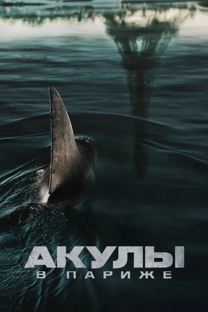 Акулы в Париже (2024) poster