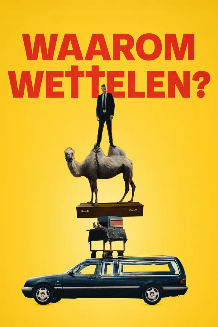 Waarom Wettelen (2024) poster