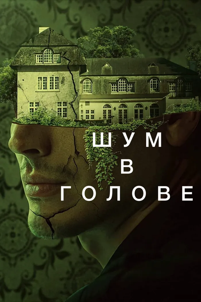 Шум в голове (2023) poster
