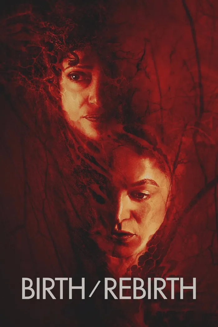 Рождение/перерождение (2023) poster