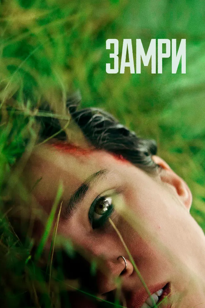 Замри (2024) poster