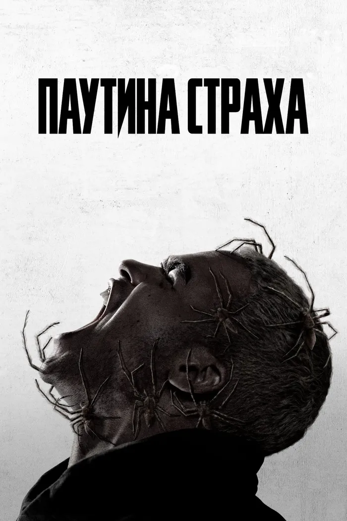 Паутина страха (2023) poster