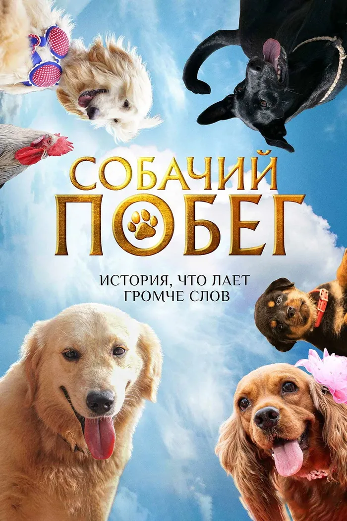 Собачий побег (2023) poster