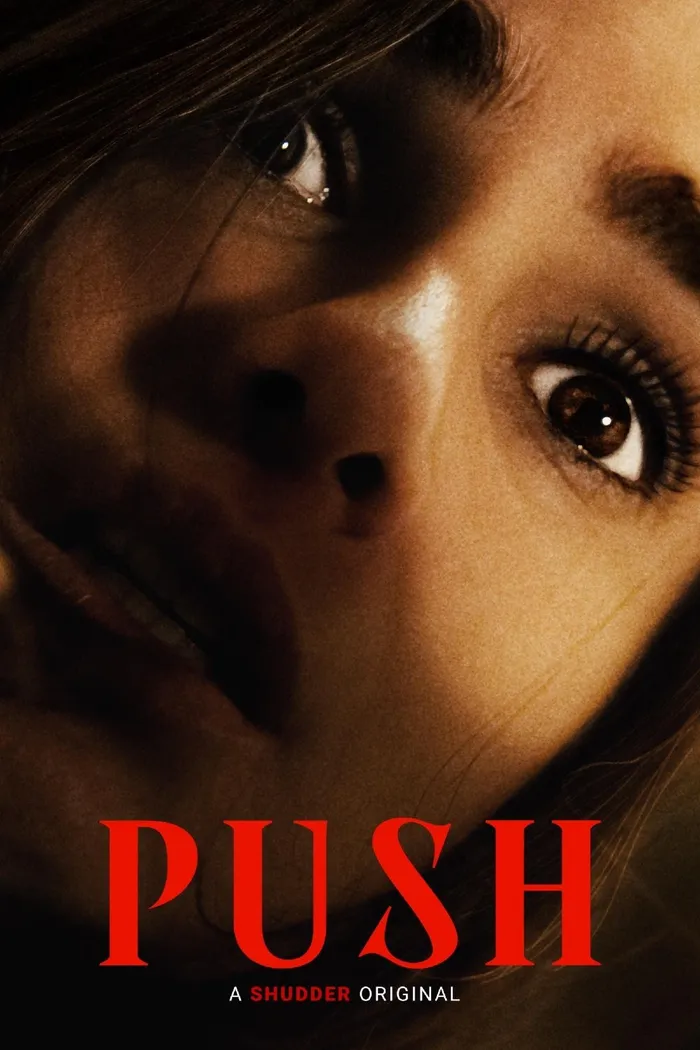 Push (2024) poster