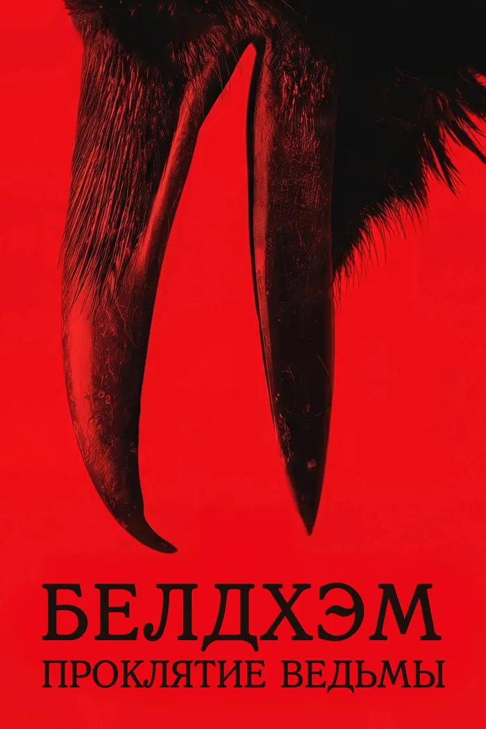 Белдхэм. Проклятие ведьмы (2024) poster
