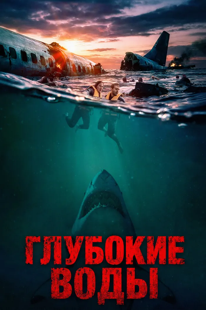 Крушение рейса (2026) poster