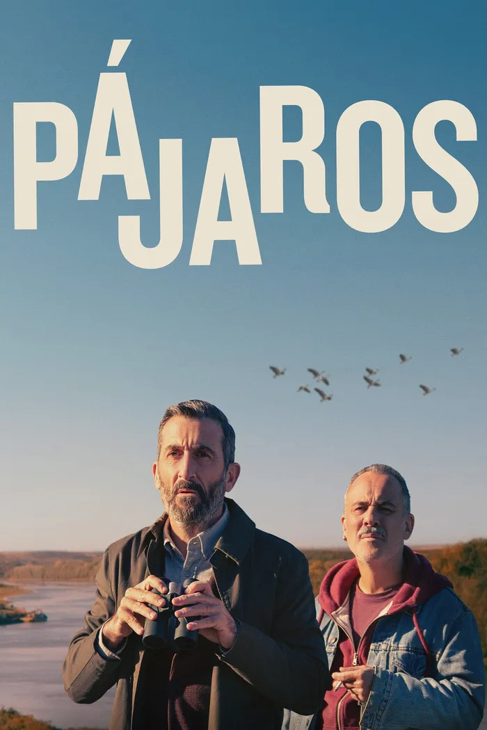 Pájaros (2024) poster