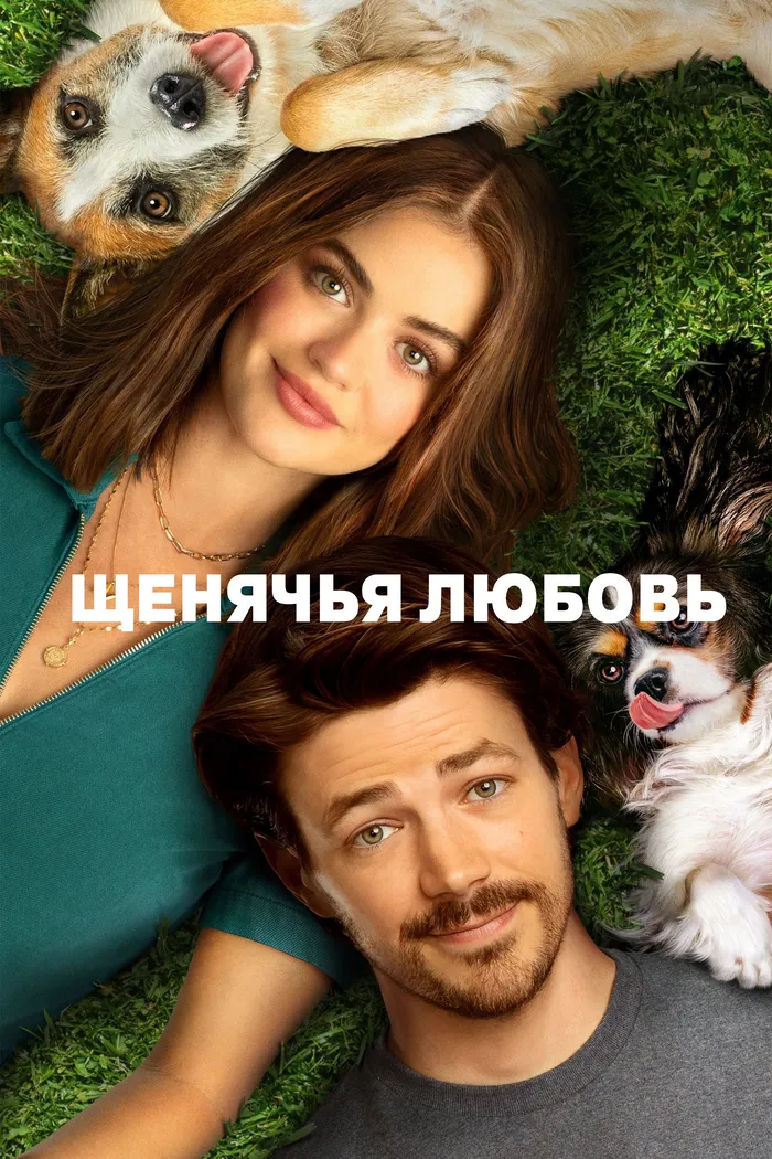Щенячья любовь (2023) poster